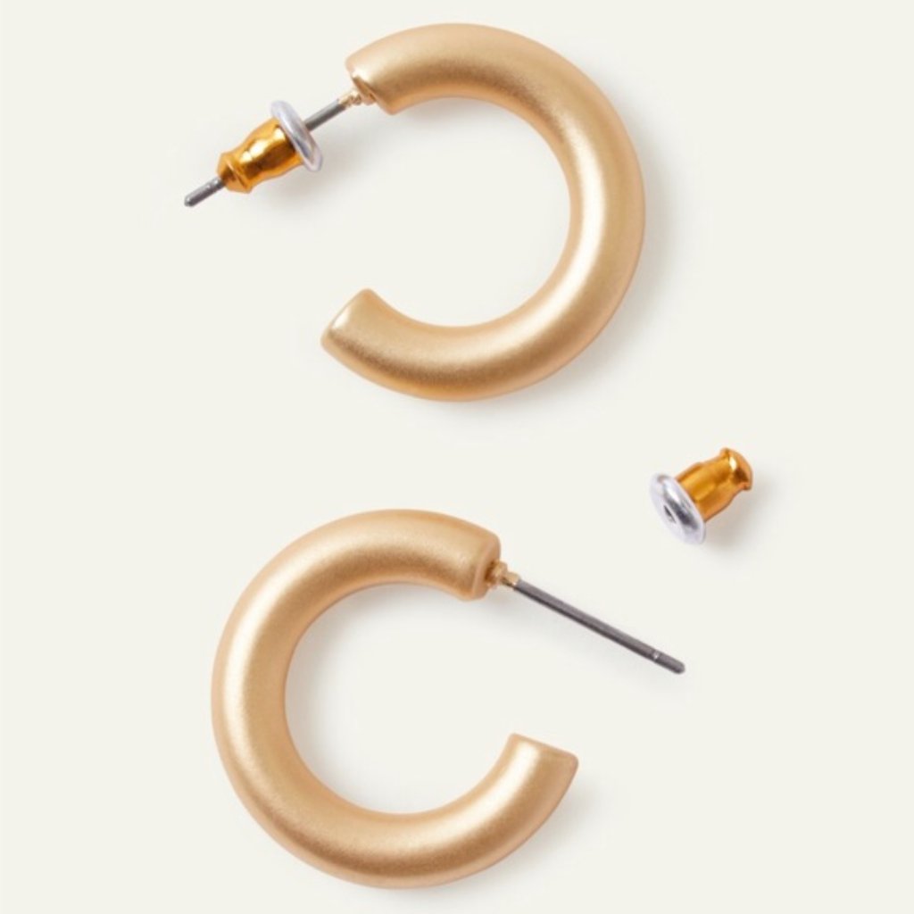 Sanctuary | Thick Gold Hoop Earrings Nwt